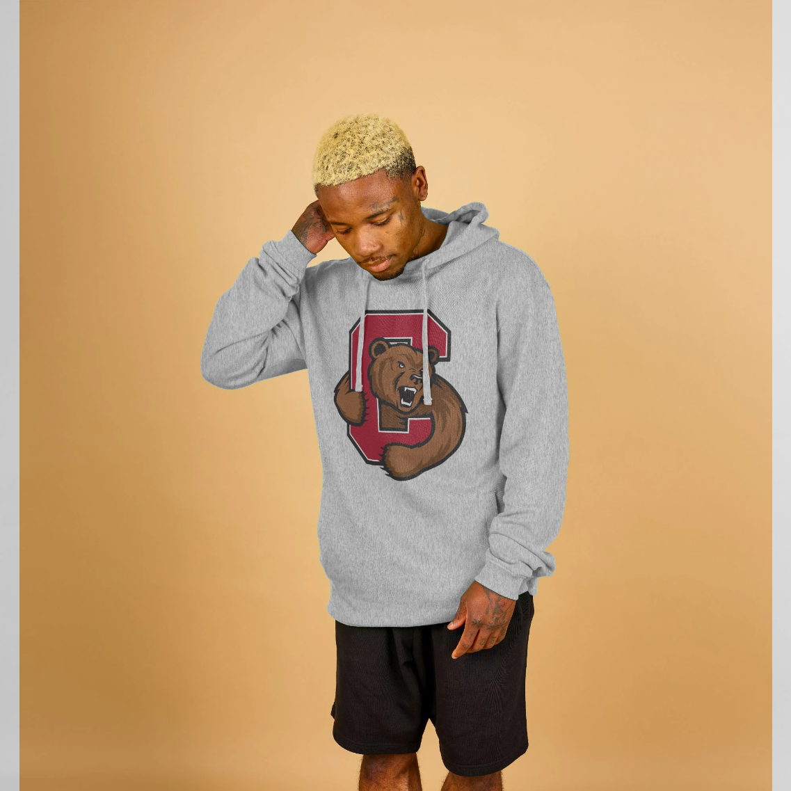 Cornell University Bear Grey Hoodie