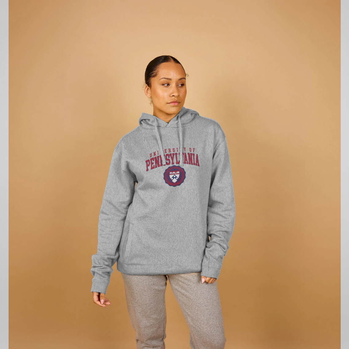 University Of Pennsylvania Heather Grey Hoodie