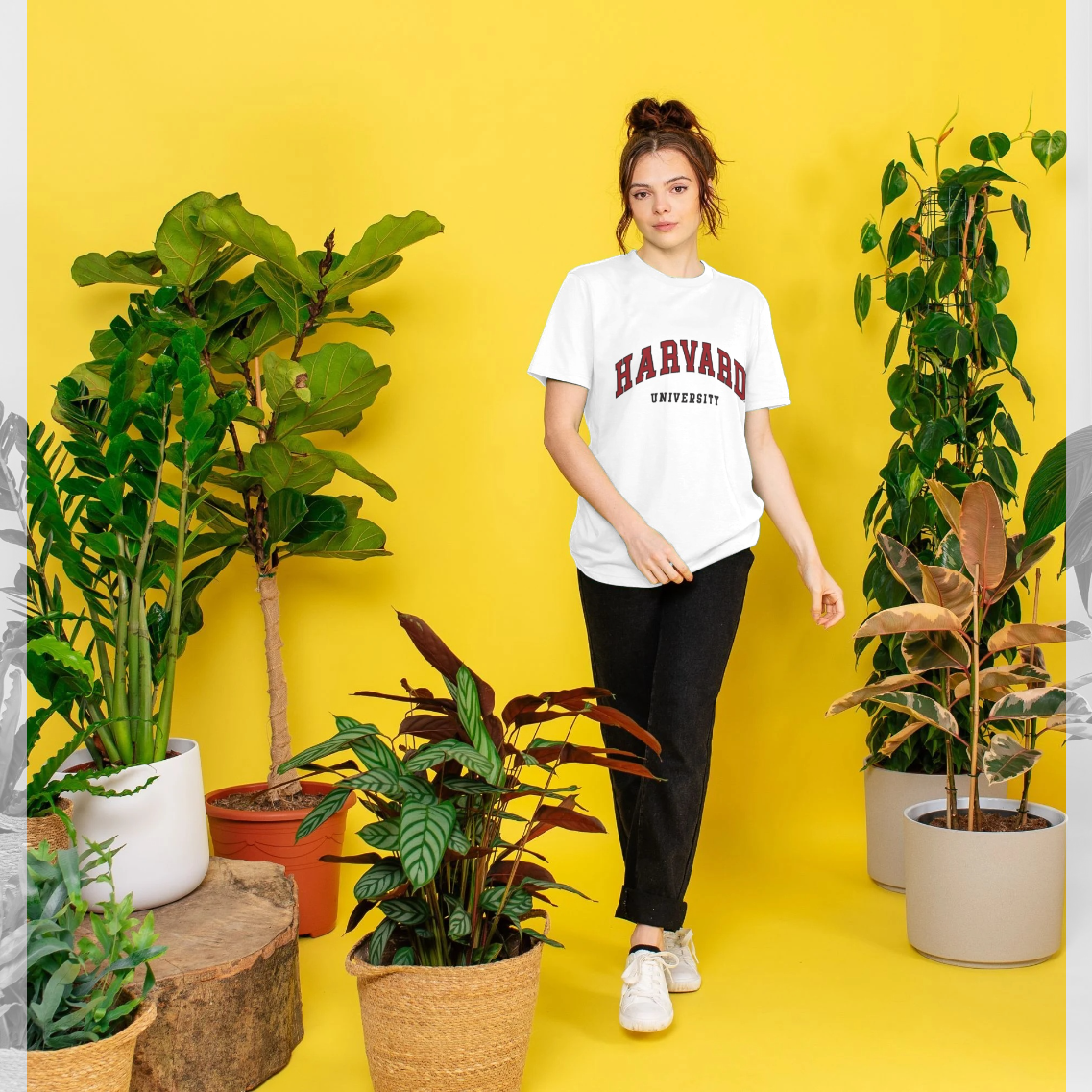 Harvard University White T-Shirt