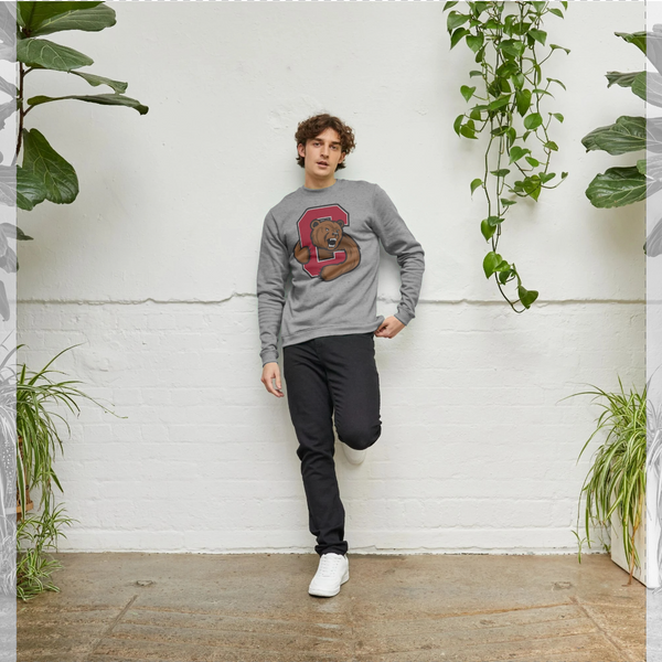 Light Heather Printed Sweater