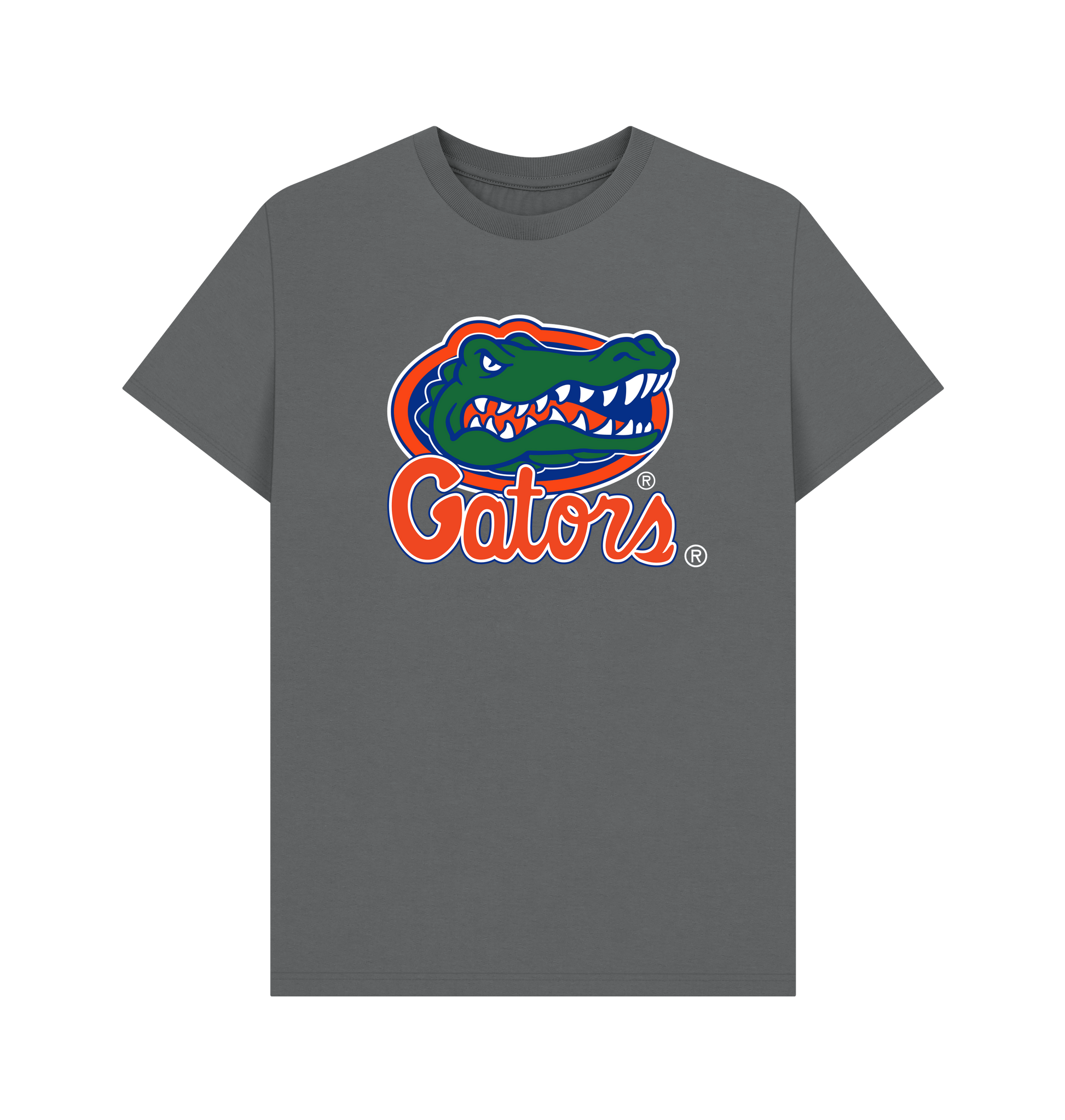 Slate Grey Printed T-shirt Front