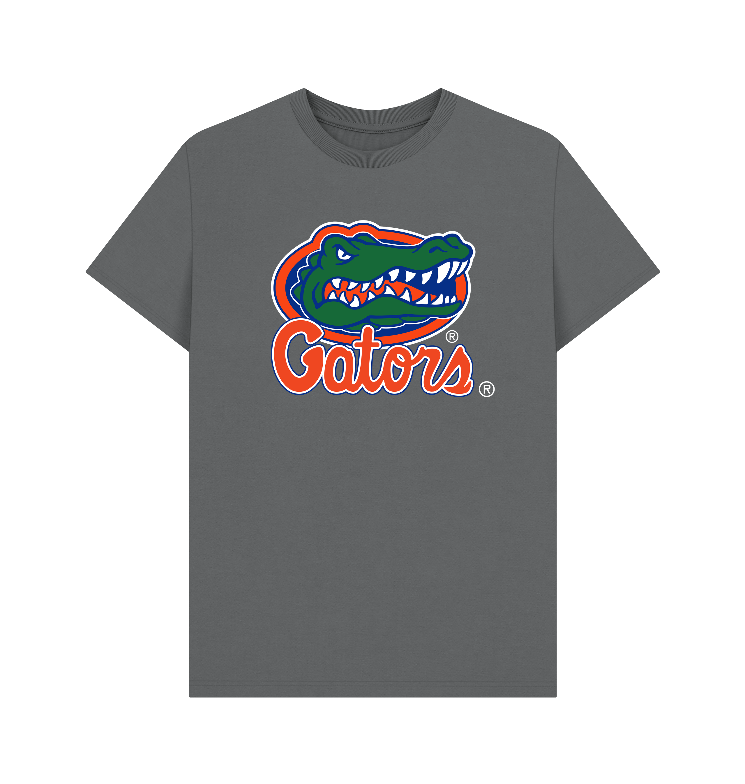 Slate Grey Printed T-shirt Front