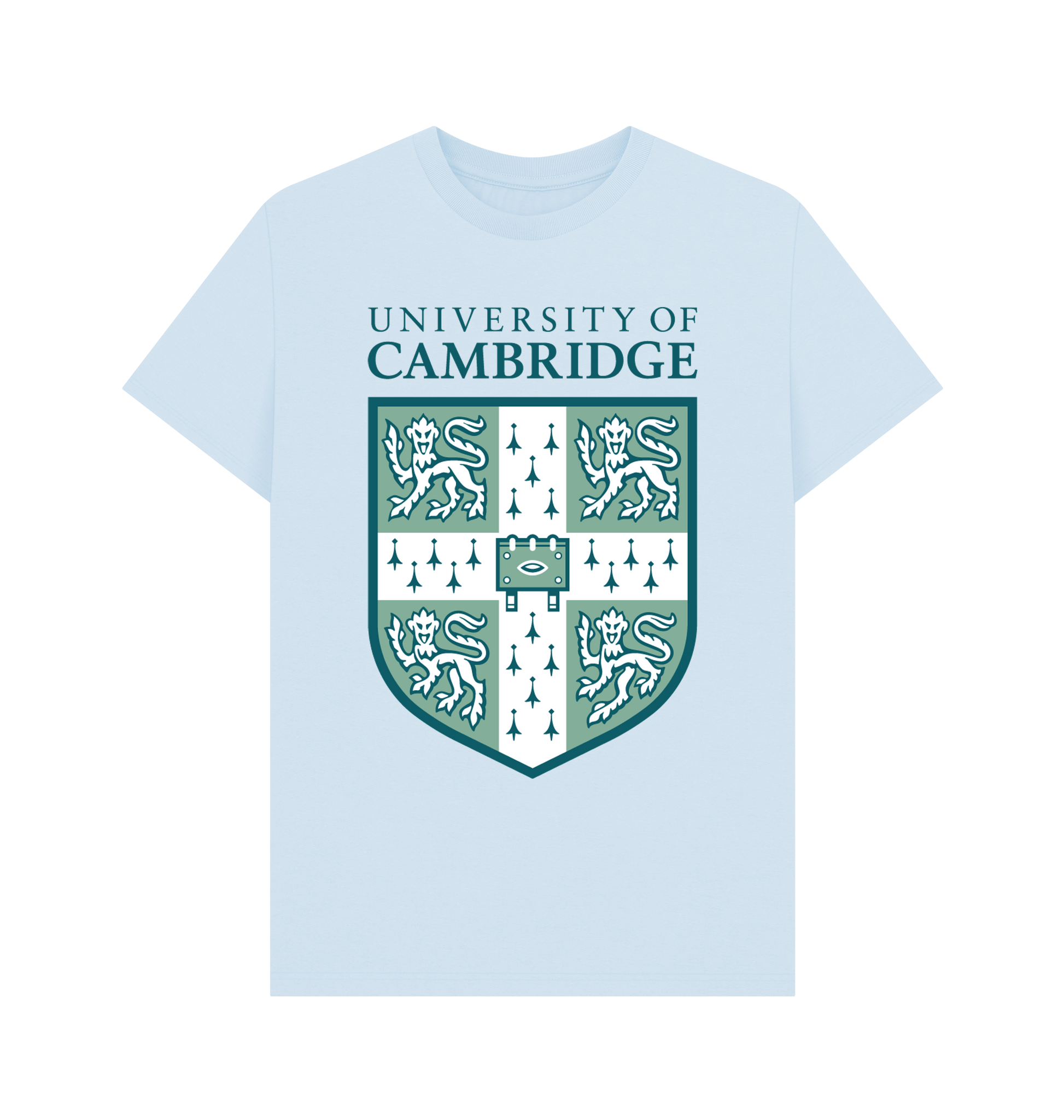 Sky Blue Printed T-shirt