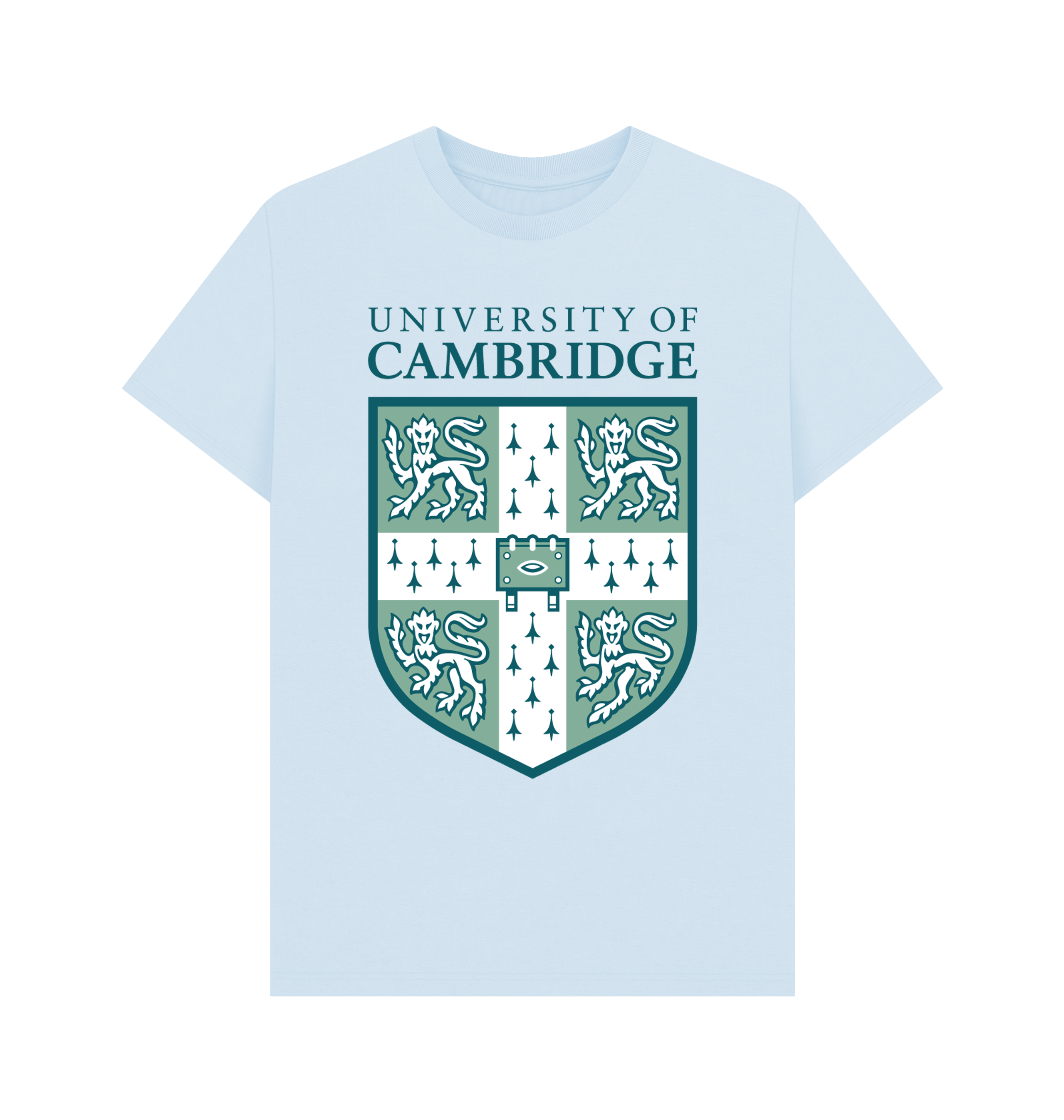 Sky Blue Printed T-shirt